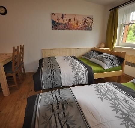 Studio Apartments Lipno 22, 24 Lipno nad Vltavou Oda fotoğraf