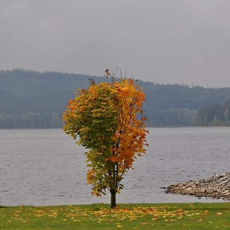 Studio Apartments Lipno 22, 24 Lipno nad Vltavou Oda fotoğraf