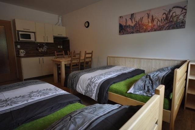 Studio Apartments Lipno 22, 24 Lipno nad Vltavou Oda fotoğraf