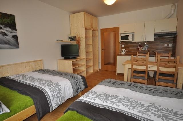 Studio Apartments Lipno 22, 24 Lipno nad Vltavou Oda fotoğraf