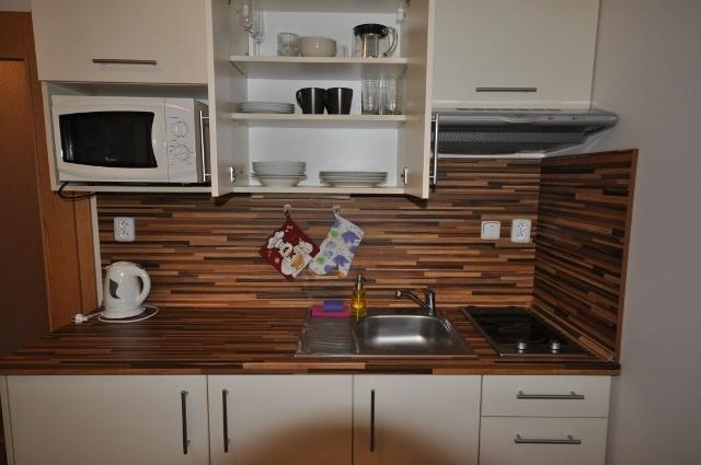 Studio Apartments Lipno 22, 24 Lipno nad Vltavou Oda fotoğraf
