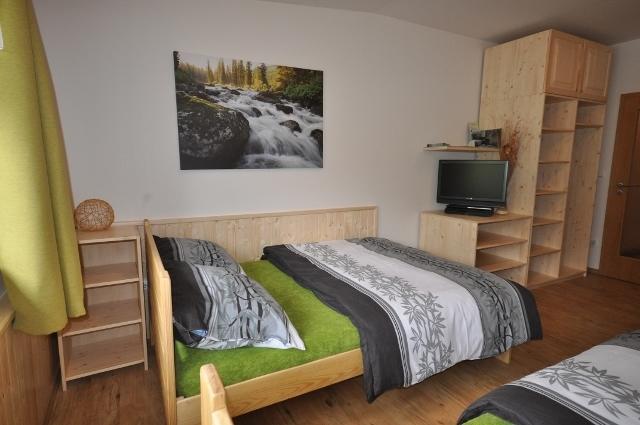 Studio Apartments Lipno 22, 24 Lipno nad Vltavou Oda fotoğraf
