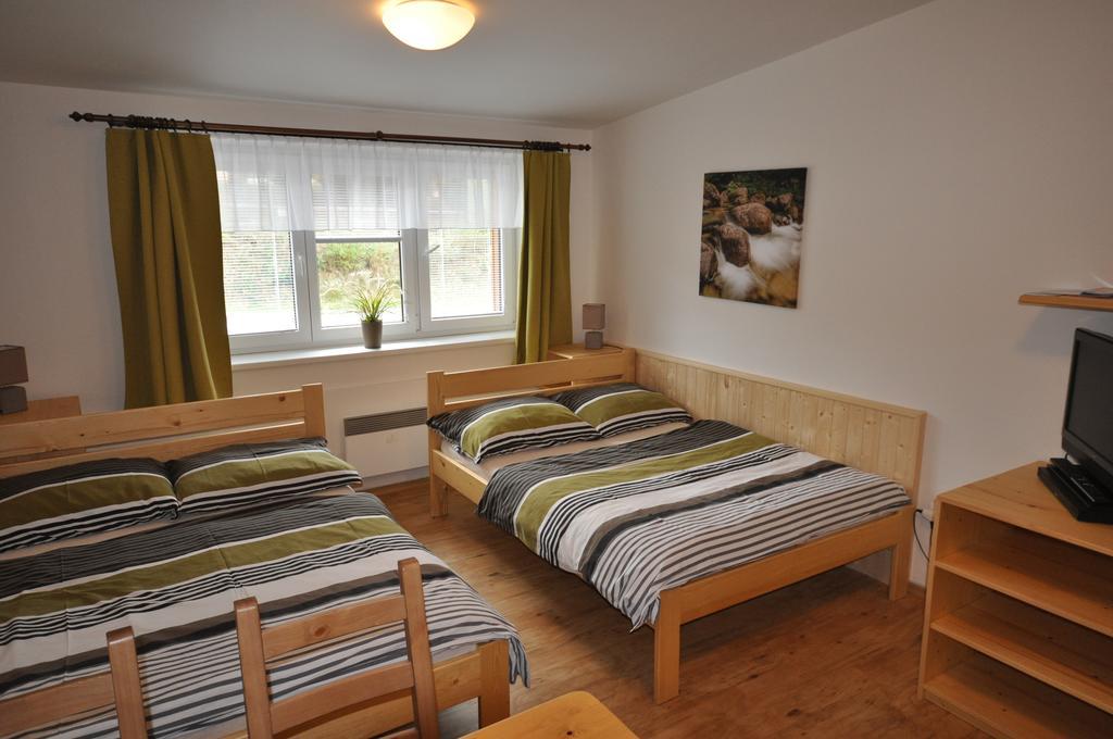 Studio Apartments Lipno 22, 24 Lipno nad Vltavou Oda fotoğraf