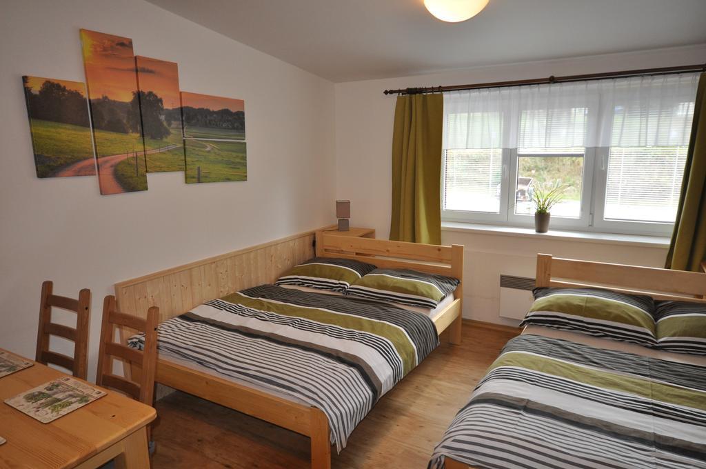 Studio Apartments Lipno 22, 24 Lipno nad Vltavou Oda fotoğraf